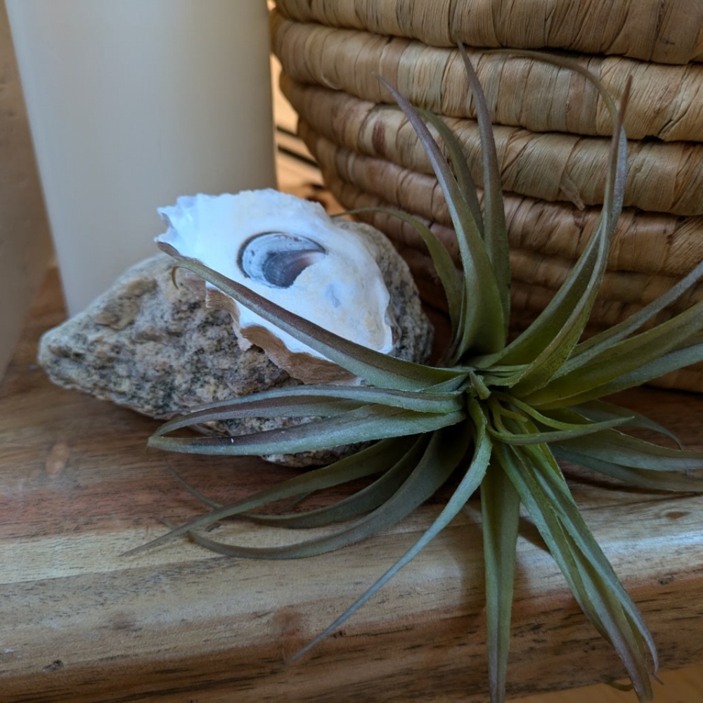 Unique ThePearlyPebble Home Decor